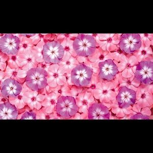 Meet your Posher, Monica